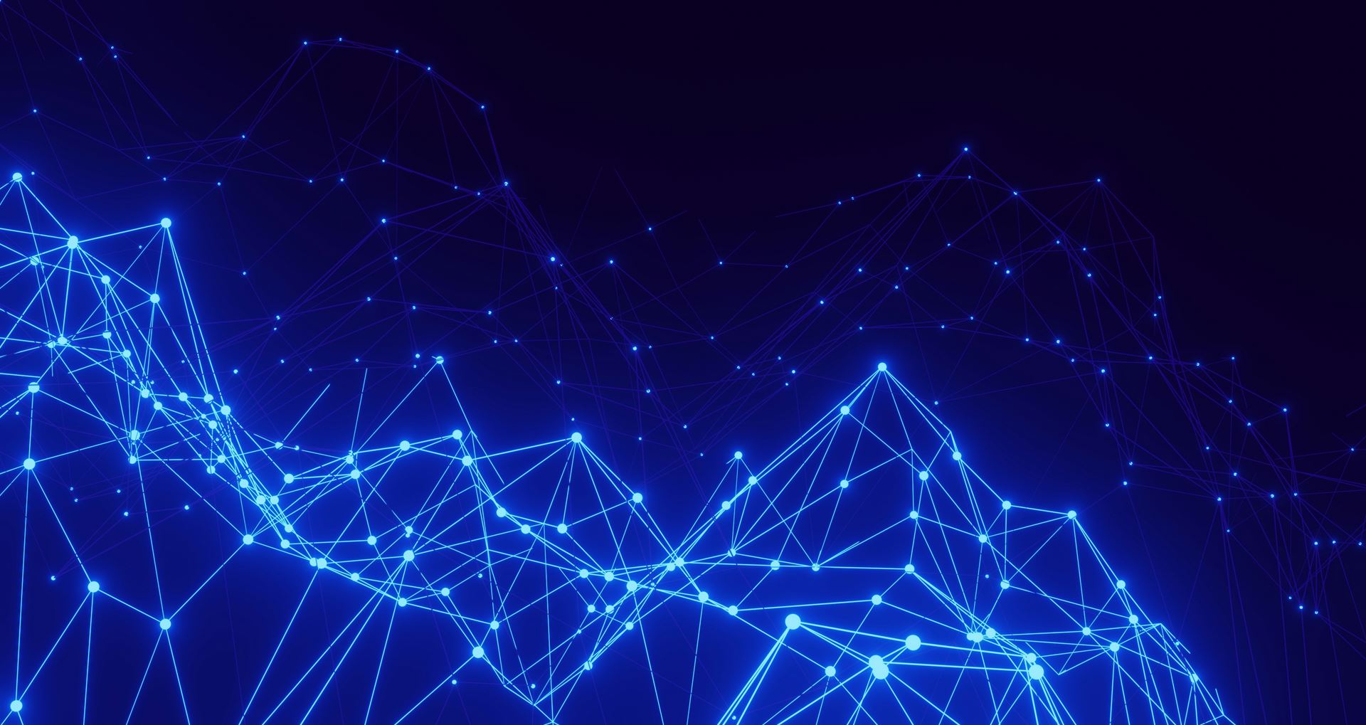 Network